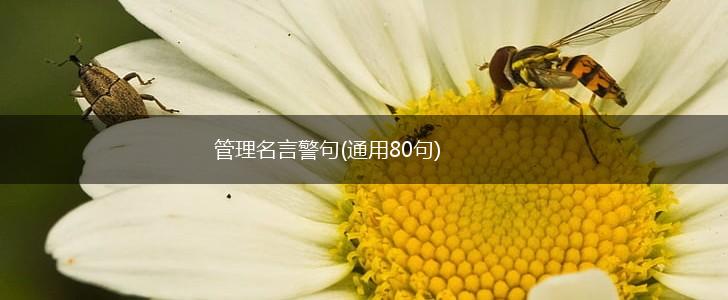 管理名言警句(通用80句),第1张