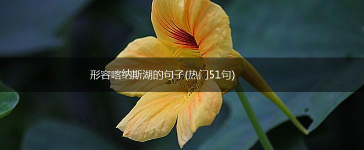 形容喀纳斯湖的句子(热门51句),第1张