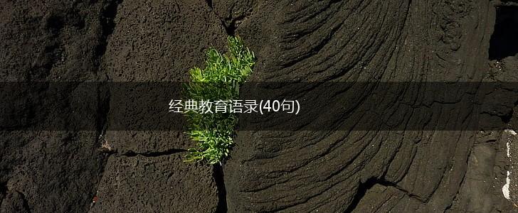 经典教育语录(40句),第1张