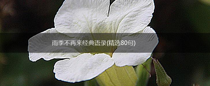 雨季不再来经典语录(精选80句),第1张