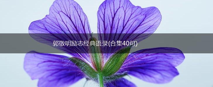 郭敬明励志经典语录(合集40句),第1张