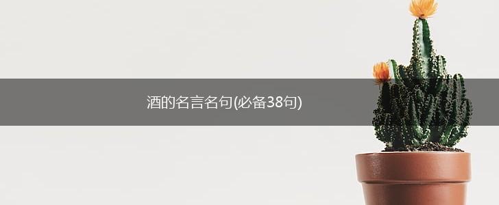 酒的名言名句(必备38句),第1张