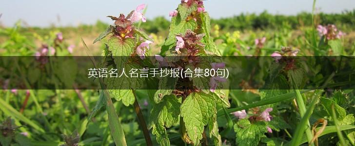 英语名人名言手抄报(合集80句),第1张