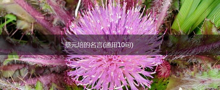 蔡元培的名言(通用10句),第1张 蔡元培的名言(通用10句),第1张