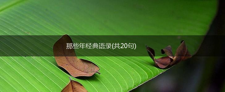 那些年经典语录(共20句),第1张