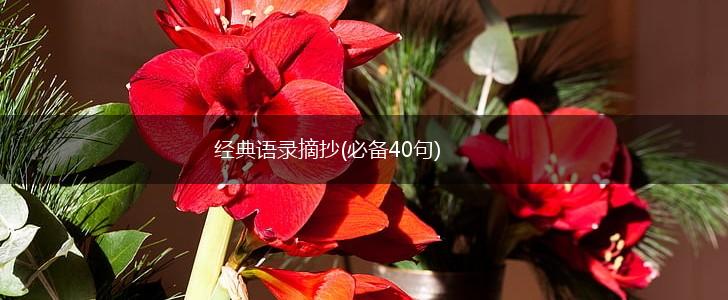 经典语录摘抄(必备40句),第1张