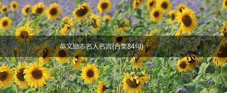 英文励志名人名言(合集84句),第1张 英文励志名人名言(合集84句),第1张