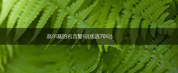 高尔基的名言警句(优选70句),第1张