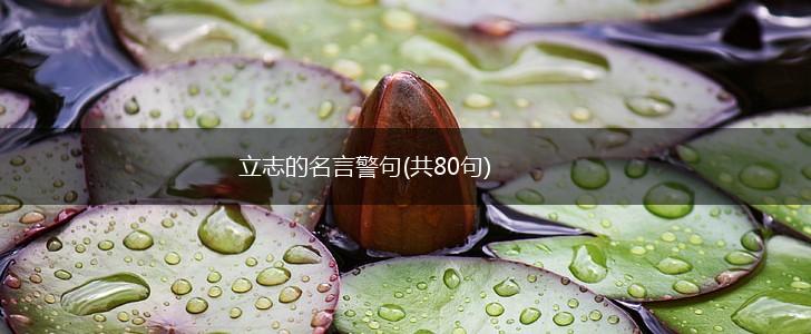 立志的名言警句(共80句),第1张 立志的名言警句(共80句),第1张