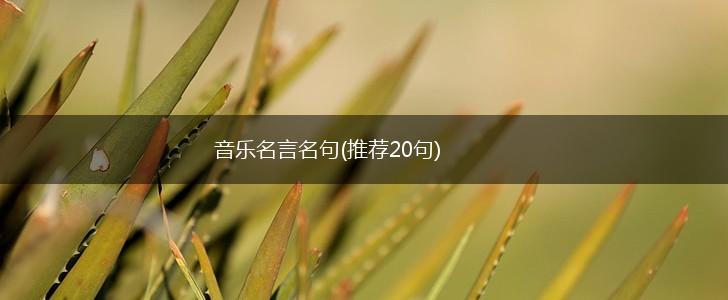 音乐名言名句(推荐20句),第1张