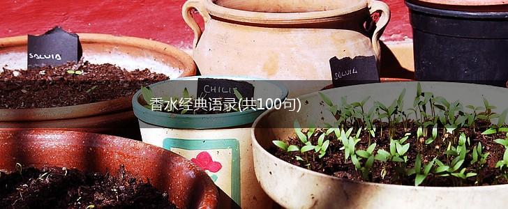 香水经典语录(共100句),第1张