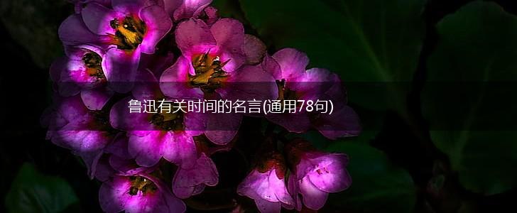 鲁迅有关时间的名言(通用78句),第1张