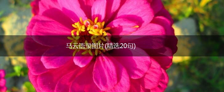 马云语录图片(精选20句),第1张