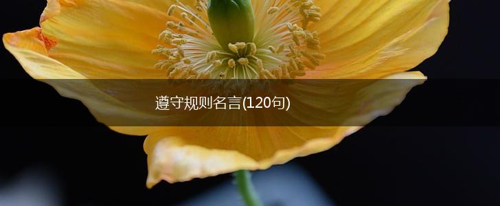 遵守规则名言(120句),第1张 遵守规则名言(120句),第1张