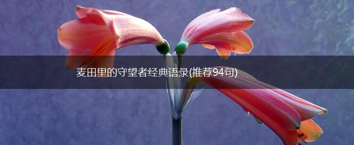 麦田里的守望者经典语录(推荐94句),第1张