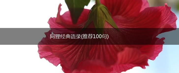 阿狸经典语录(推荐100句),第1张