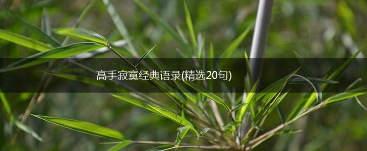 高手寂寞经典语录(精选20句),第1张