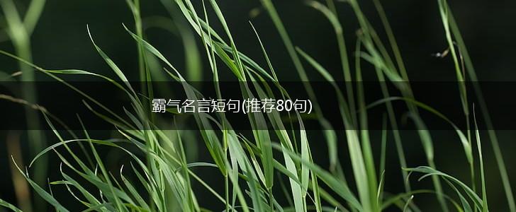 霸气名言短句(推荐80句),第1张