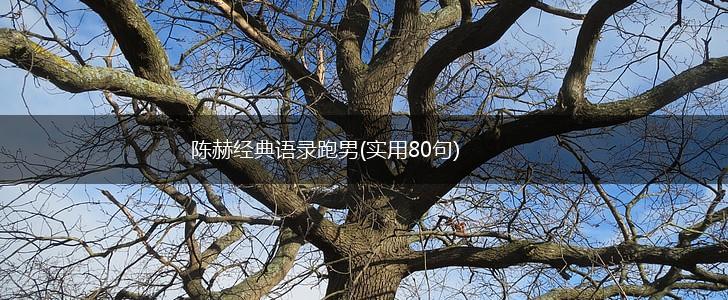 陈赫经典语录跑男(实用80句),第1张