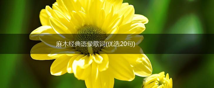 麻木经典语录歌词(优选20句),第1张