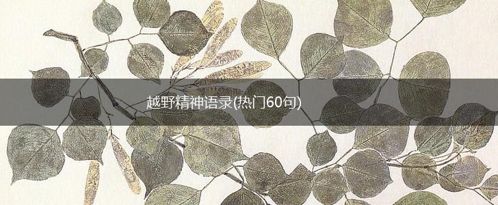 越野精神语录(热门60句),第1张