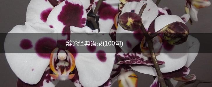 辩论经典语录(100句),第1张