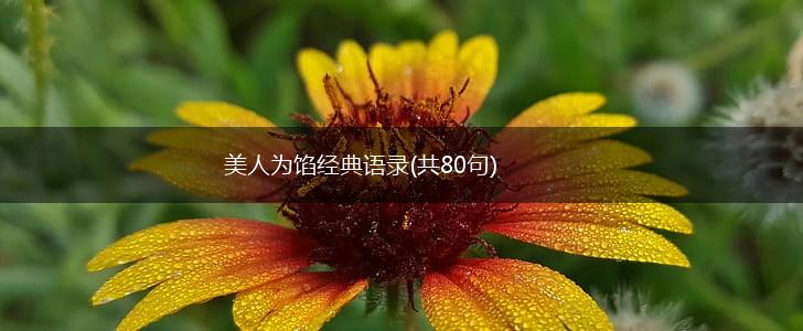 美人为馅经典语录(共80句),第1张