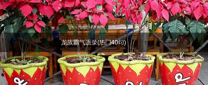 龙族霸气语录(热门40句),第1张
