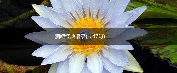 酒吧经典语录(共47句),第1张