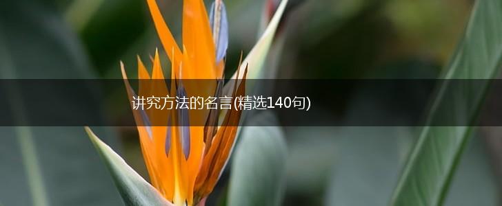 讲究方法的名言(精选140句),第1张 讲究方法的名言(精选140句),第1张