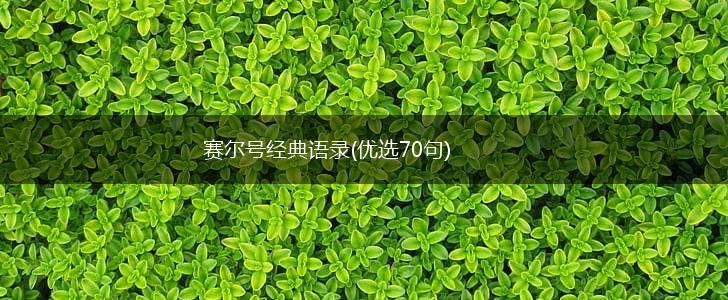 赛尔号经典语录(优选70句),第1张