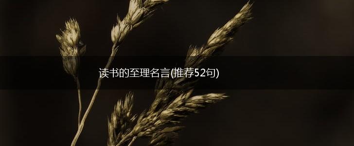 读书的至理名言(推荐52句),第1张