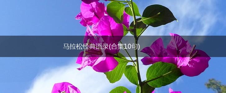 马拉松经典语录(合集10句),第1张