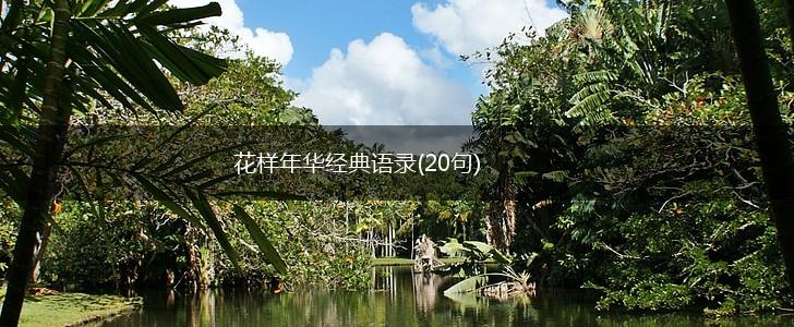 花样年华经典语录(20句),第1张