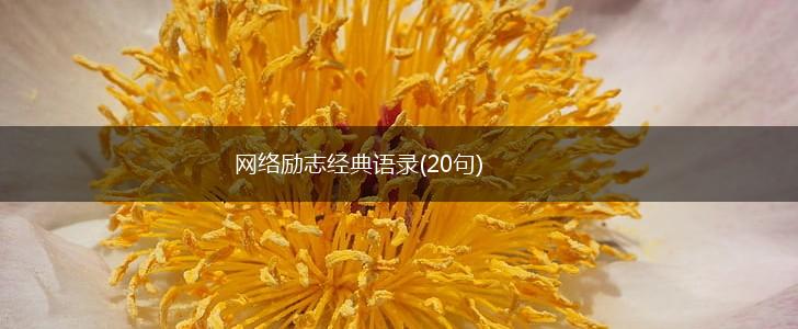 网络励志经典语录(20句),第1张
