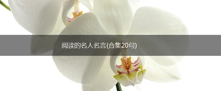 阅读的名人名言(合集20句),第1张