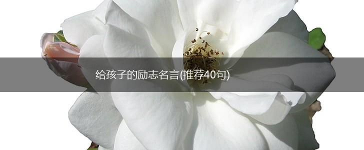 给孩子的励志名言(推荐40句),第1张 给孩子的励志名言(推荐40句),第1张