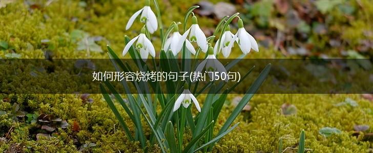 如何形容烧烤的句子(热门50句),第1张