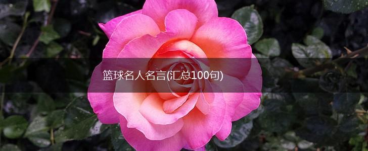 篮球名人名言(汇总100句),第1张