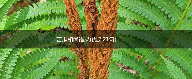 苦瓜和尚语录(优选21句),第1张