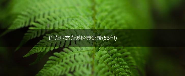 迈克尔杰克逊经典语录(53句),第1张