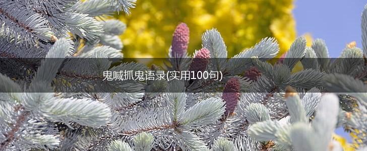 鬼喊抓鬼语录(实用100句),第1张