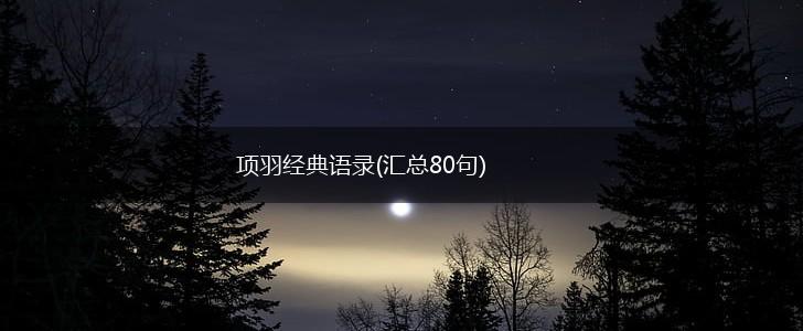 项羽经典语录(汇总80句),第1张