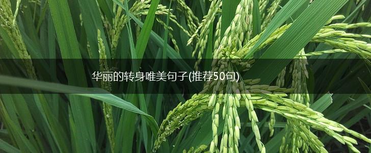 华丽的转身唯美句子(推荐50句),第1张