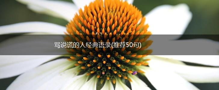 骂说谎的人经典语录(推荐50句),第1张