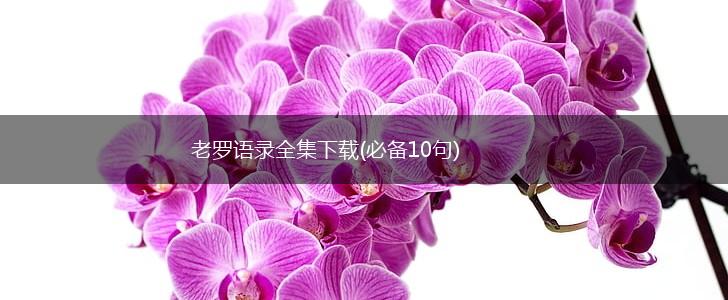 老罗语录全集下载(必备10句),第1张