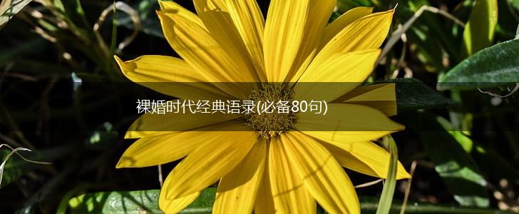 裸婚时代经典语录(必备80句),第1张