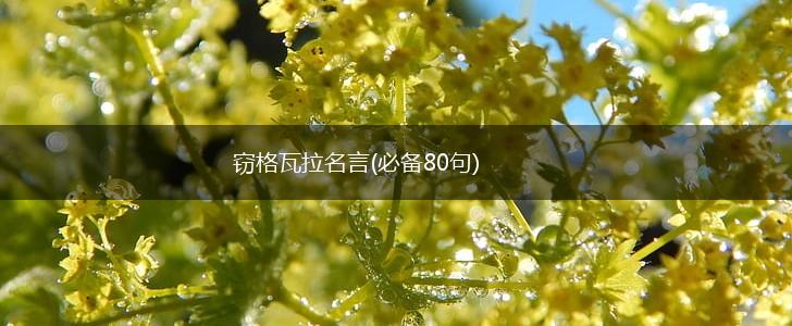 窃格瓦拉名言(必备80句),第1张 窃格瓦拉名言(必备80句),第1张