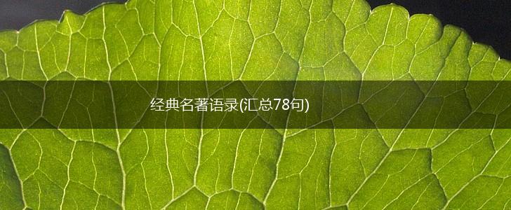 经典名著语录(汇总78句),第1张