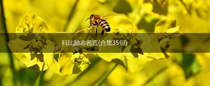 科比励志名言(合集35句),第1张 科比励志名言(合集35句),第1张